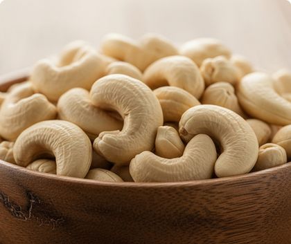 Raw cashew nuts ( RCN )