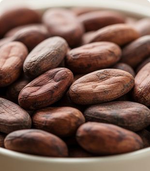 Raw cocoa beans