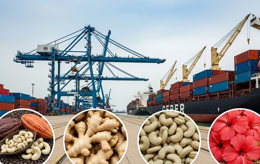 Why Nexium Hibiscus?